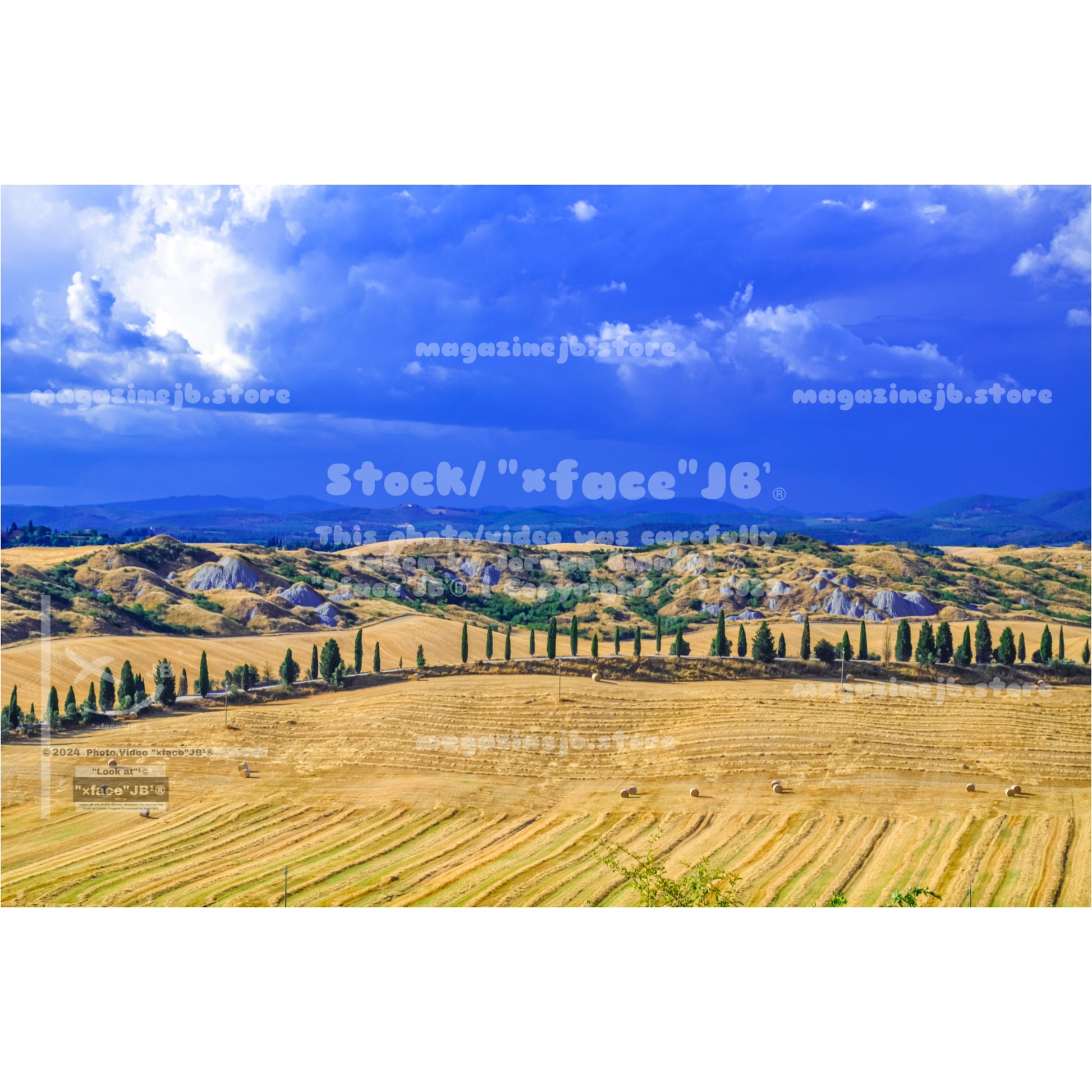 Crete Senesi (Stock)