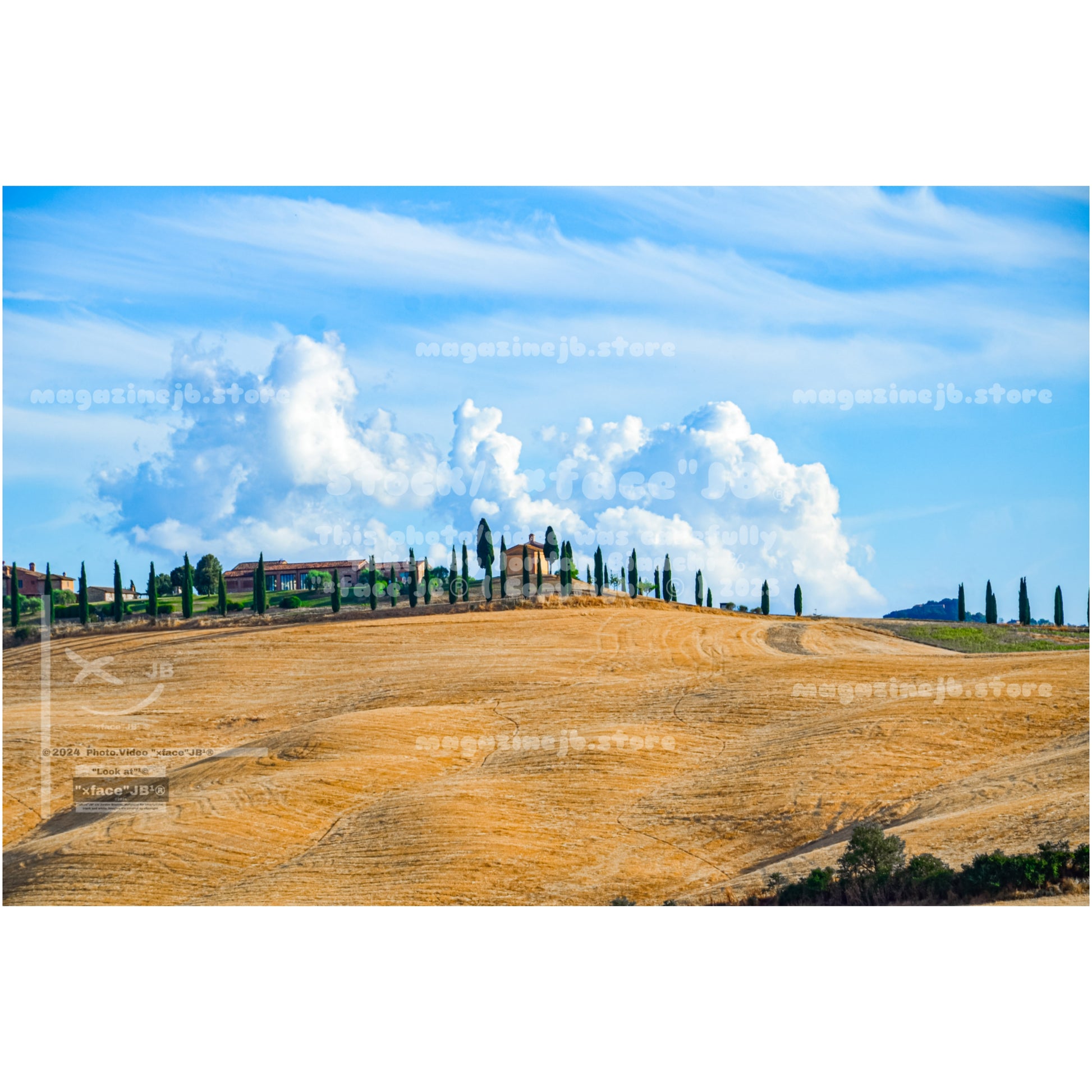 Crete Senesi (Stock)