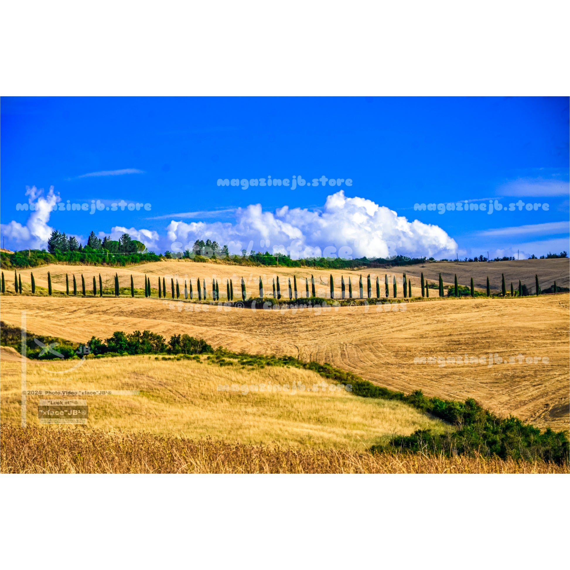 Crete Senesi (Stock)