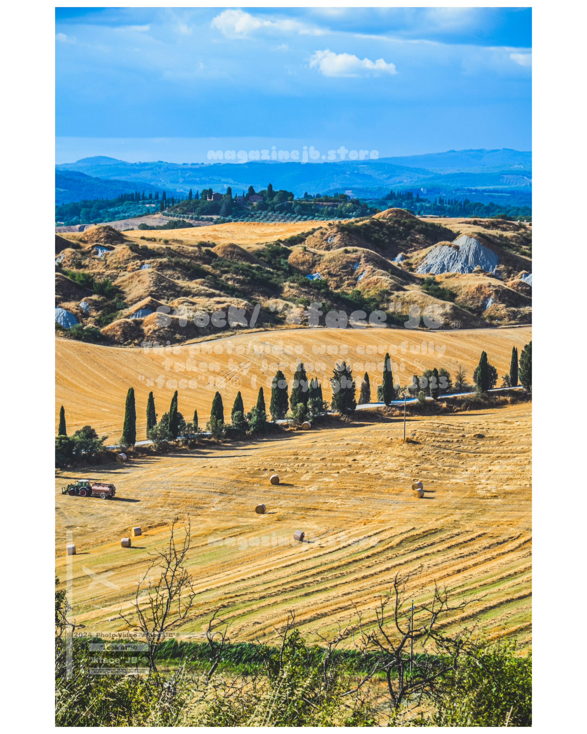 Crete Senesi (Stock)