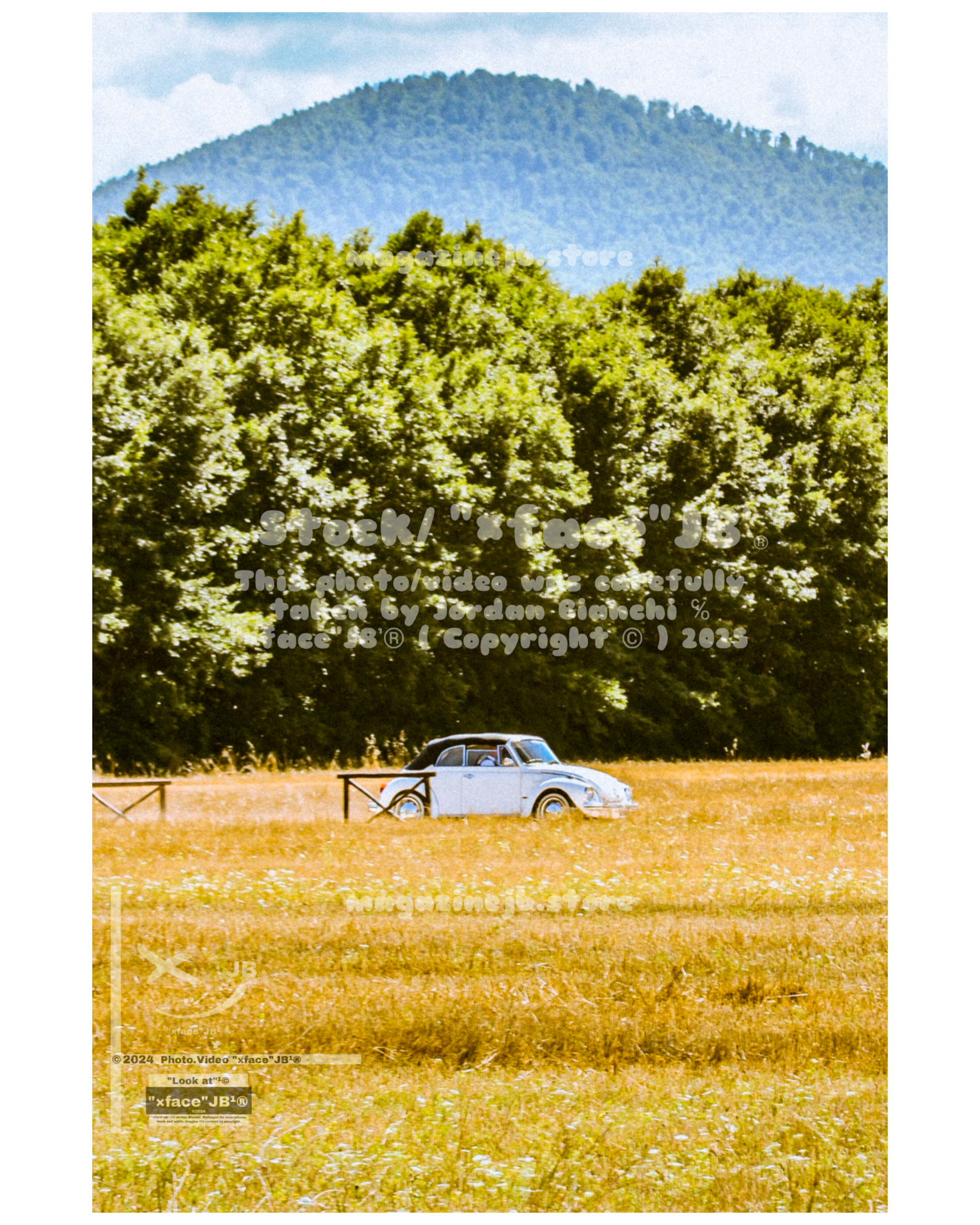 Vintage cars (Stock)