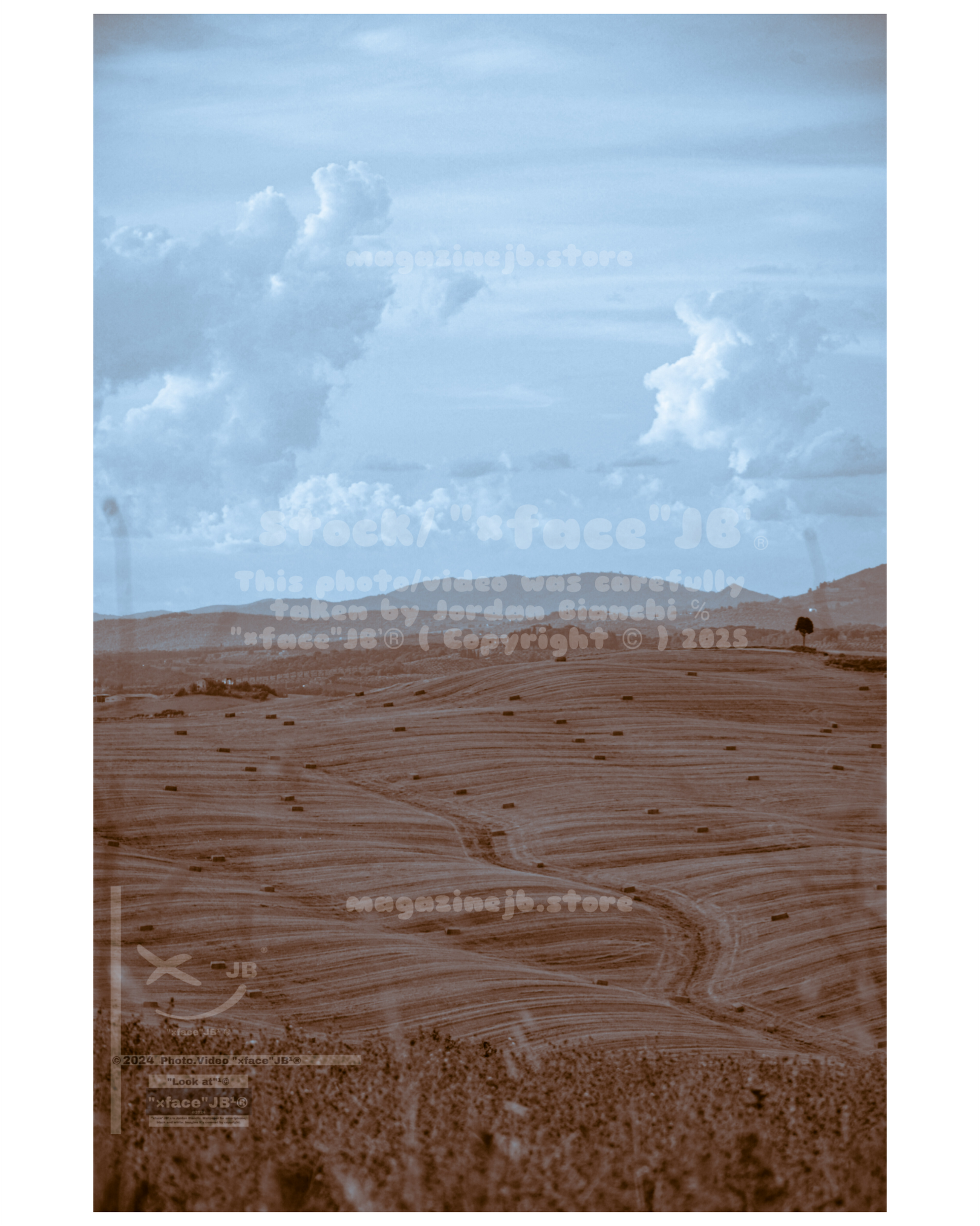 Crete Senesi (Stock)