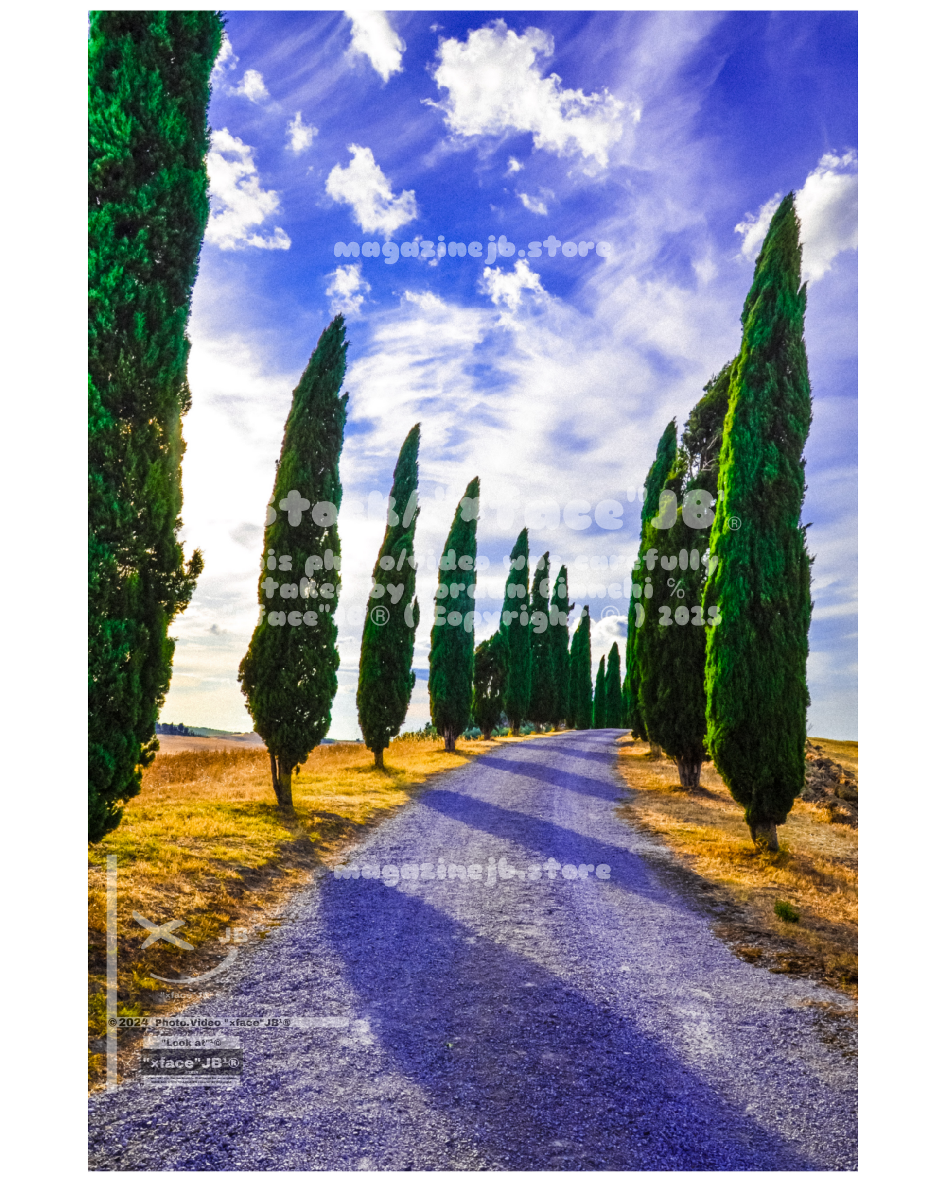 Crete Senesi (Stock)