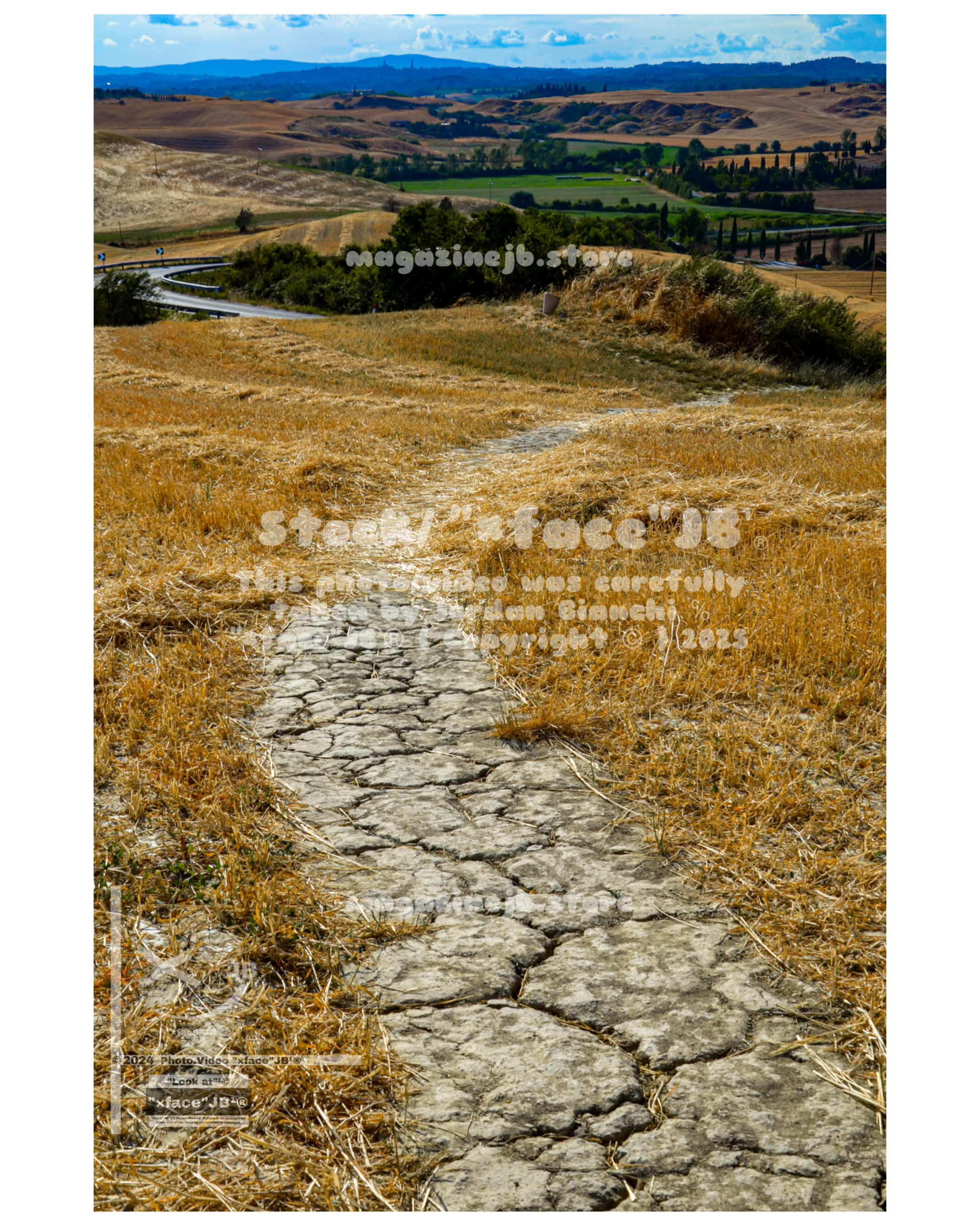 Crete Senesi (Stock)