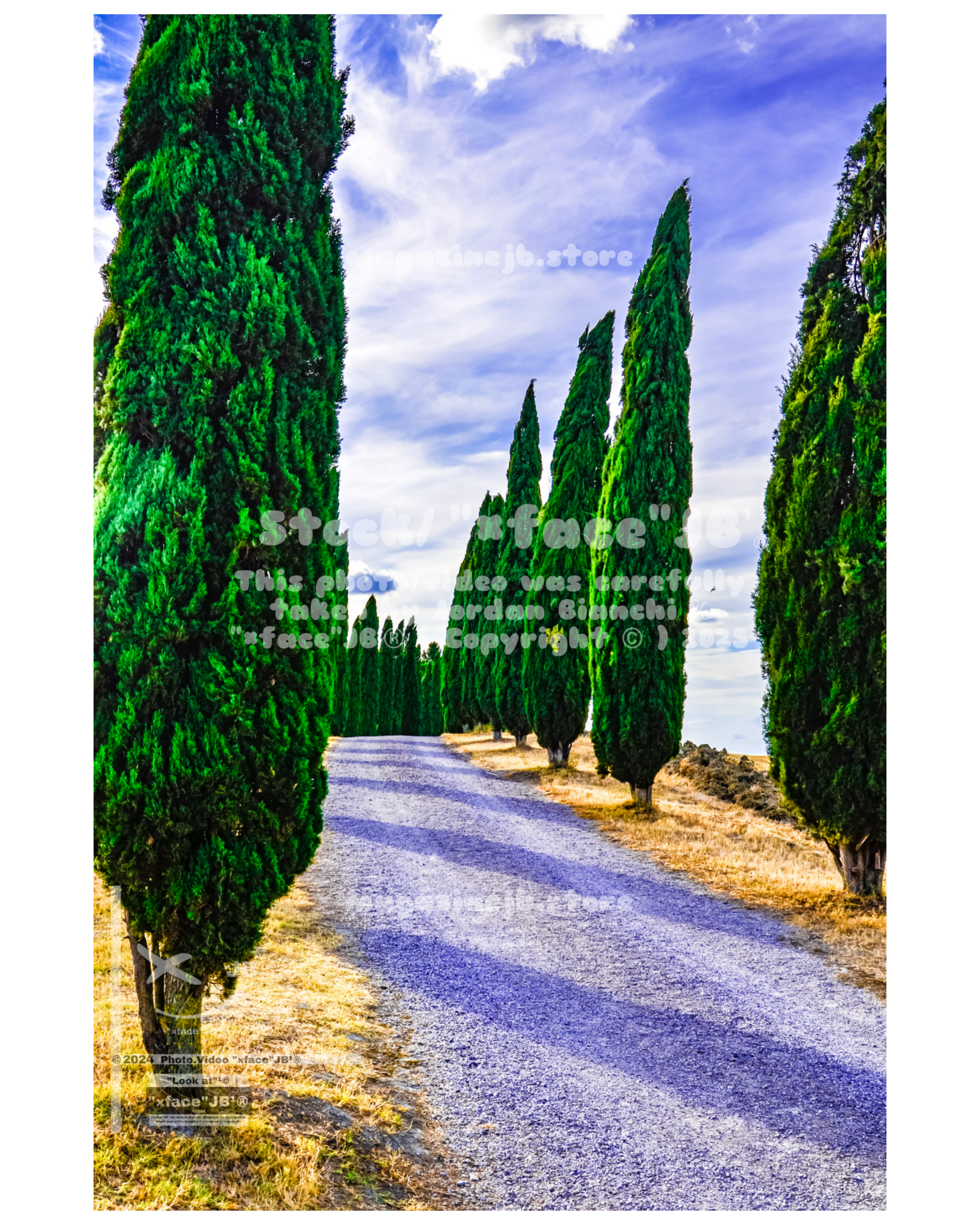 Crete Senesi (Stock)