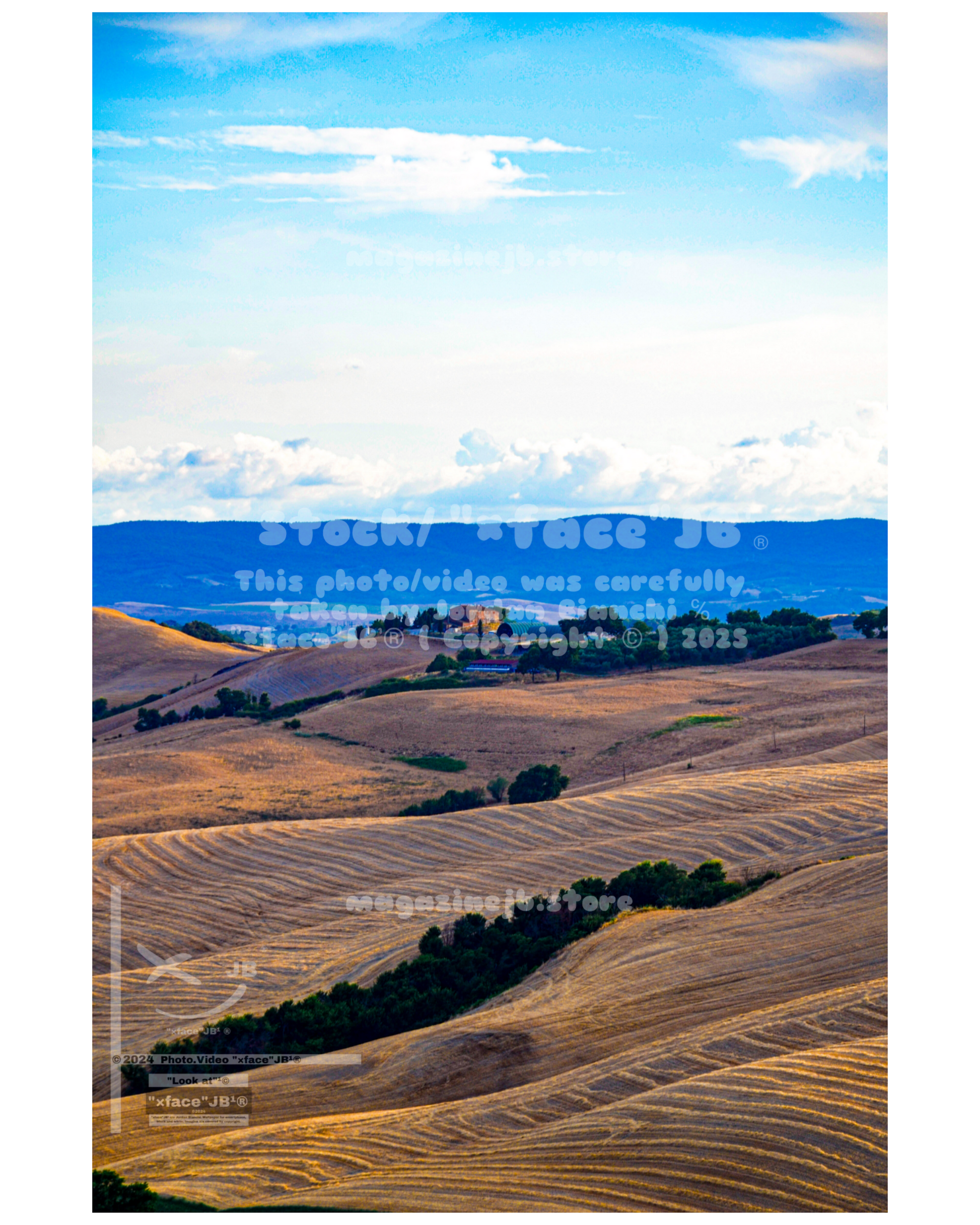 Crete Senesi (Stock)