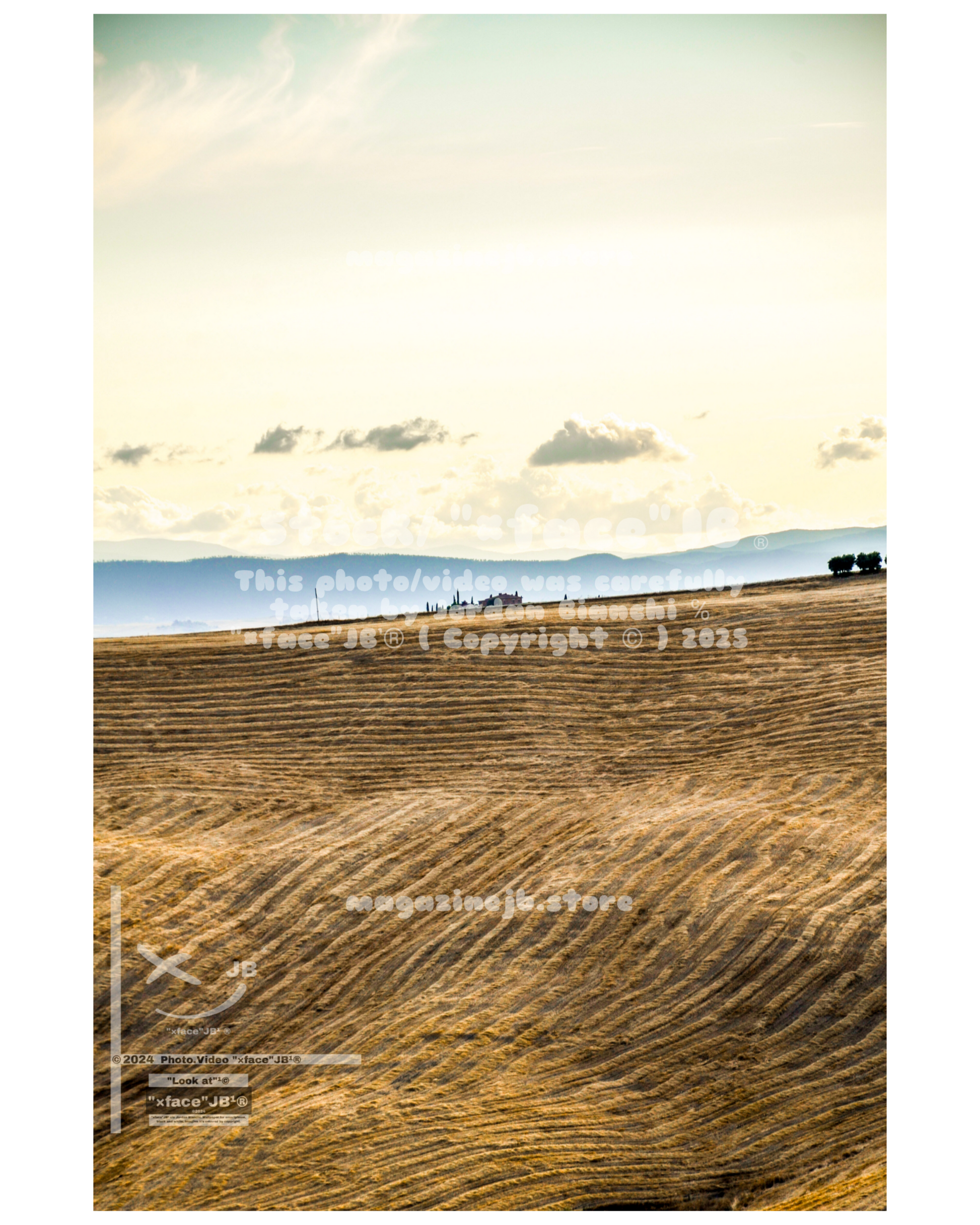 Crete Senesi (Stock)