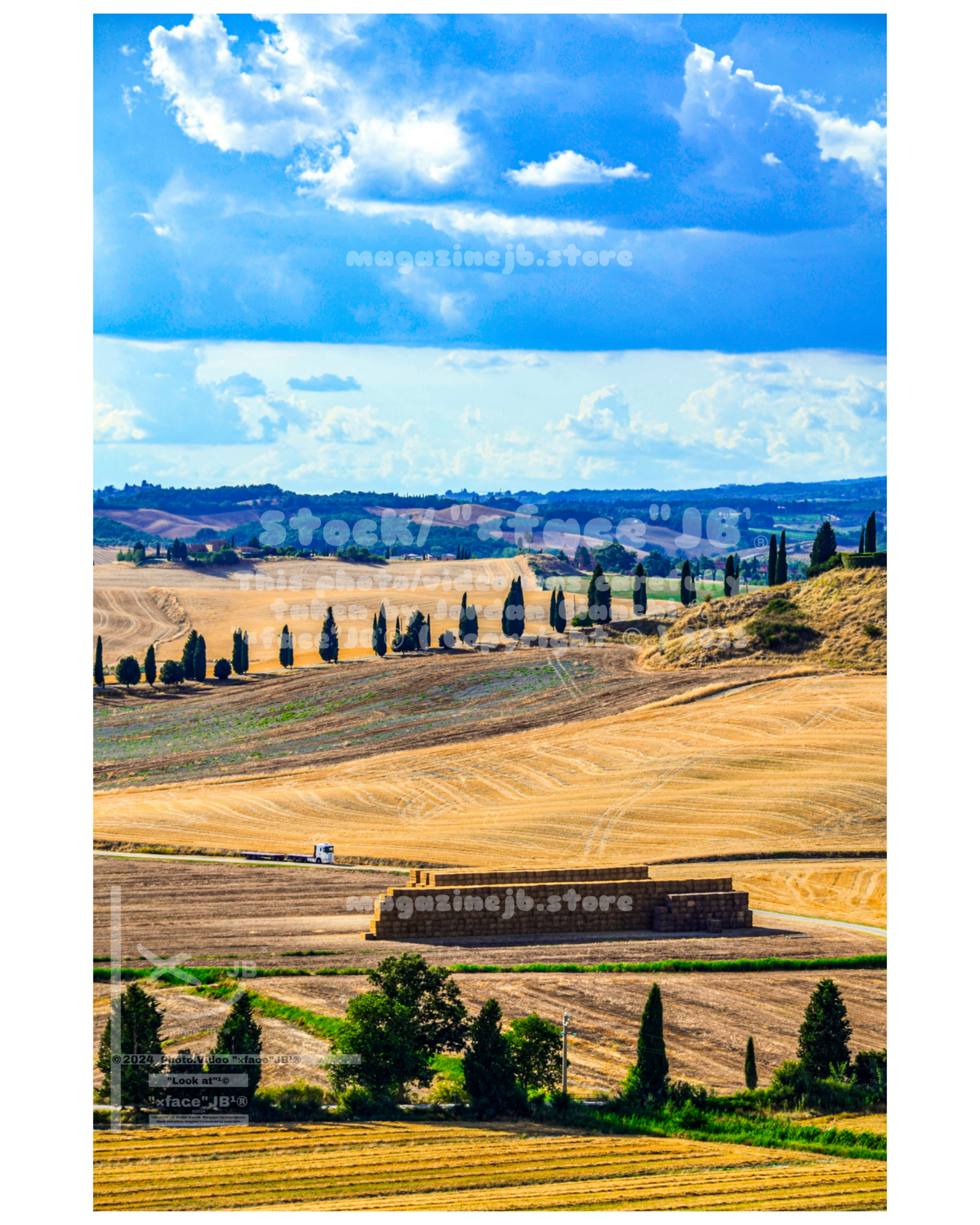 Crete Senesi (Stock)