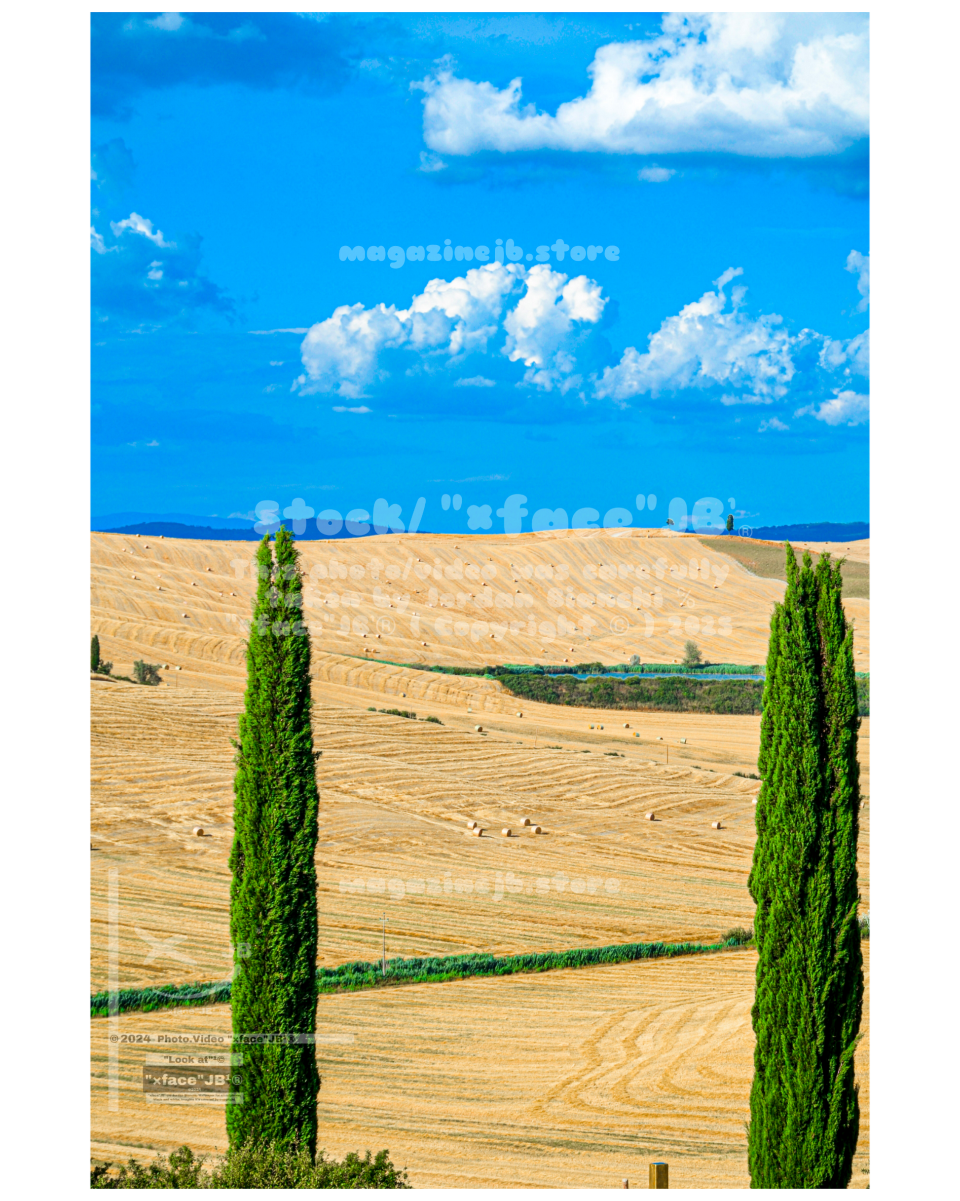 Crete Senesi (Stock)