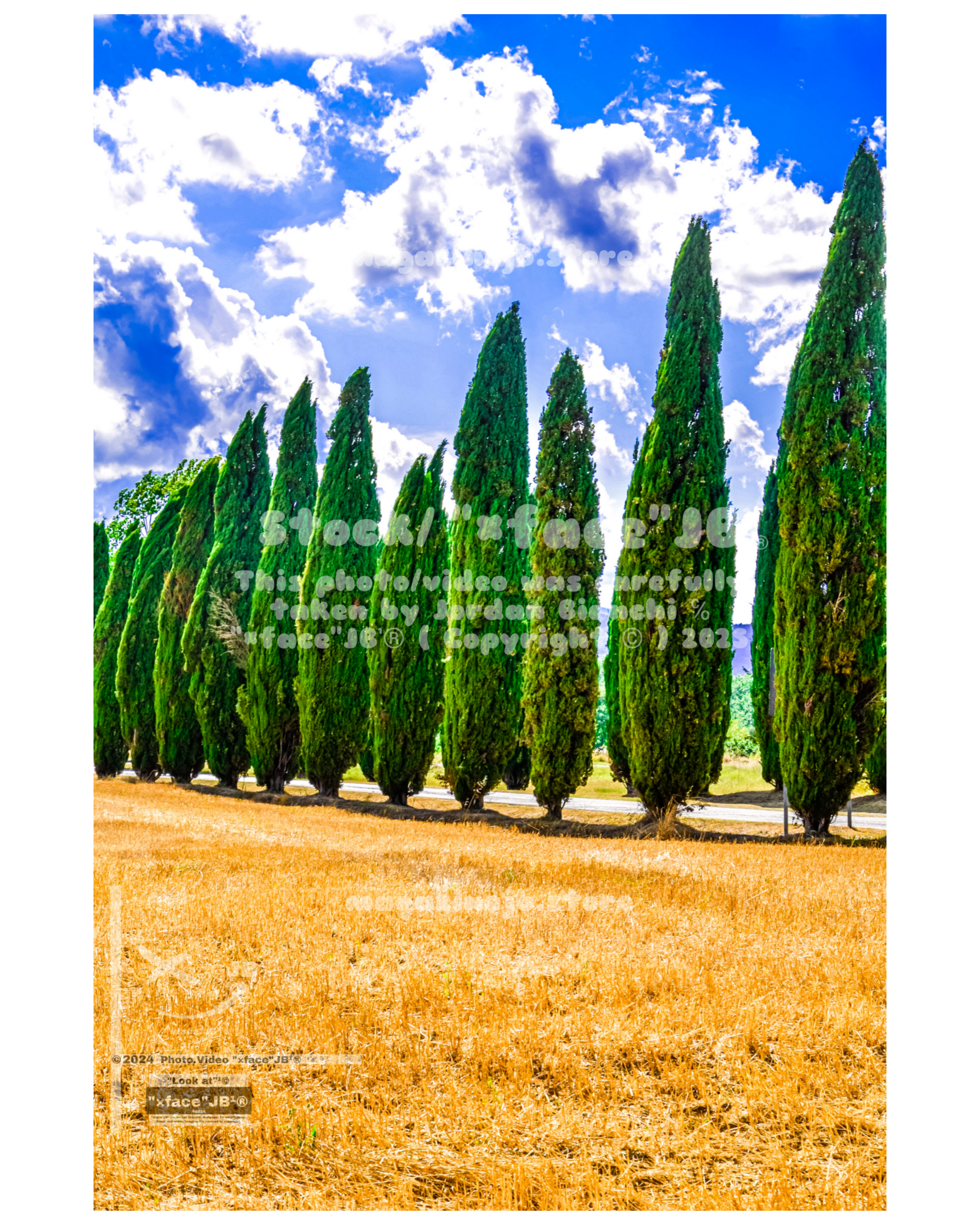 Crete Senesi (Stock)